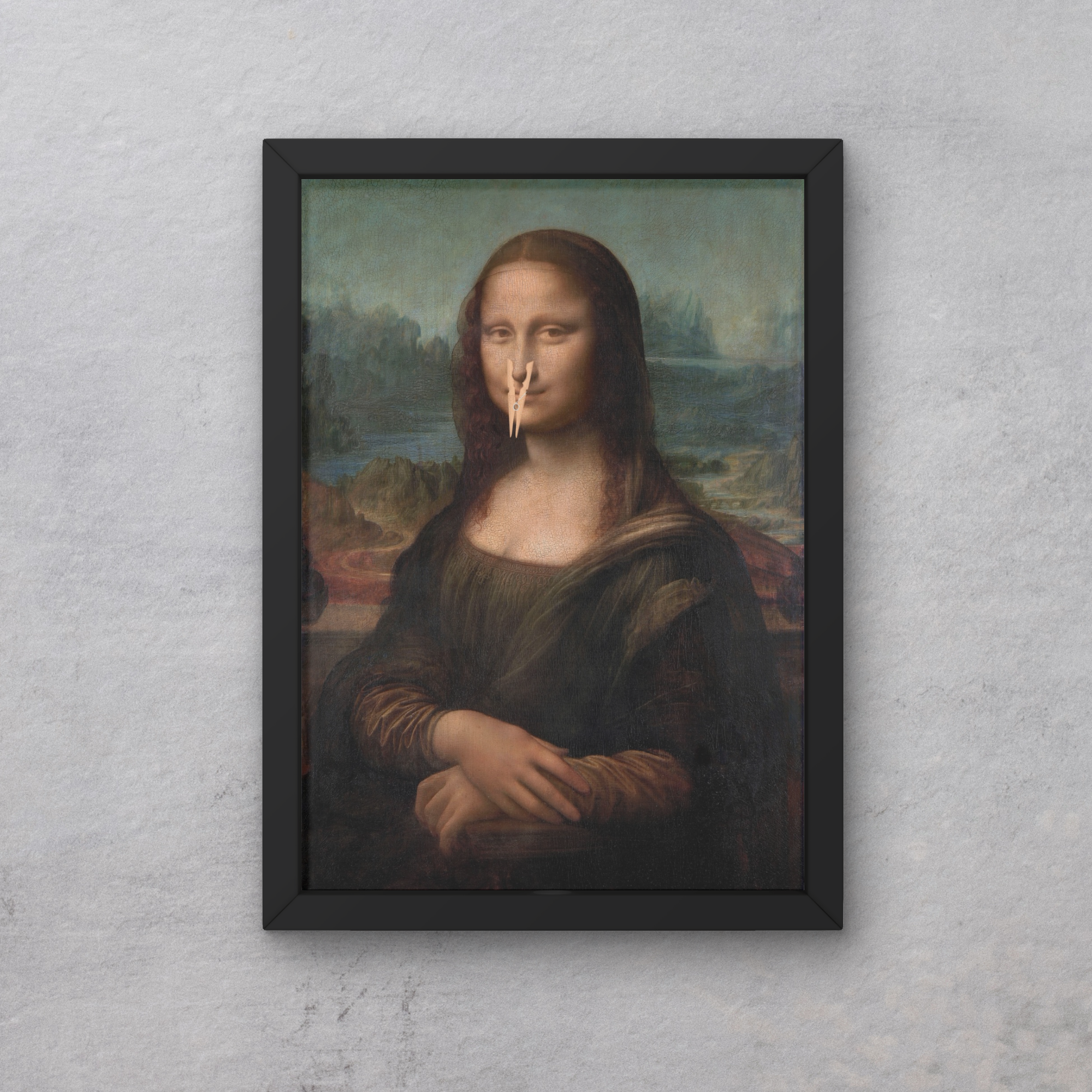 Stinky Lisa
