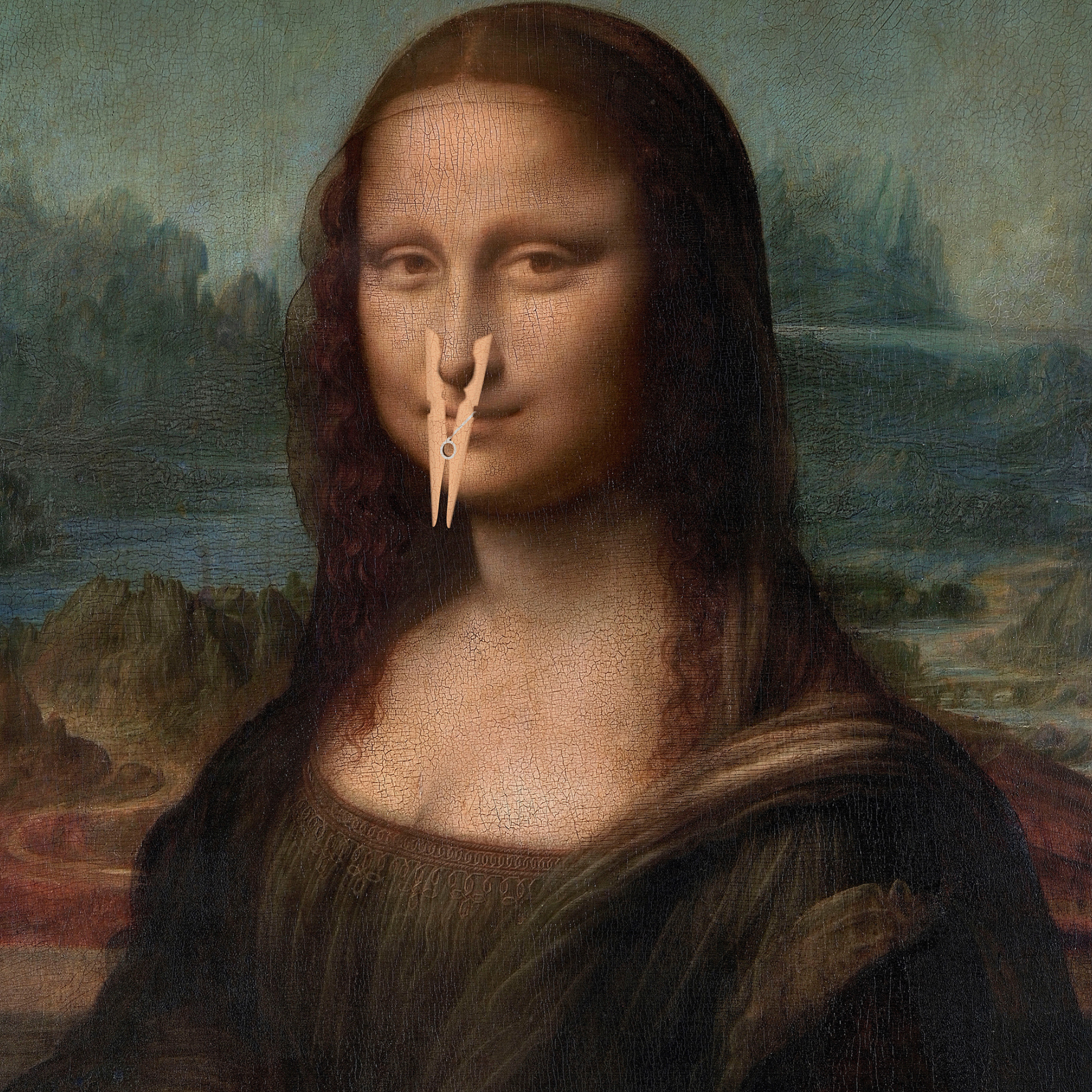 Stinky Lisa